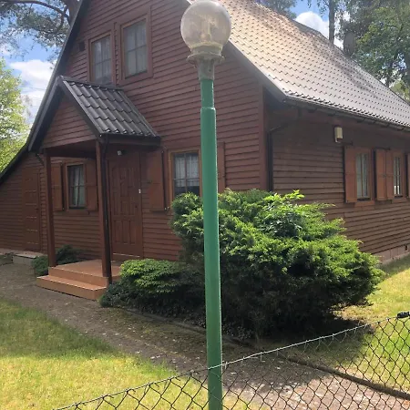 Alga * Mrzeżyno